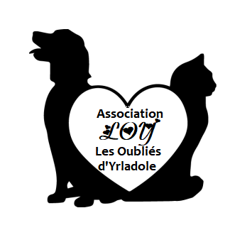 DOUG - beagle 10 ans -  Asso les oublies d'Yrladole à Equeurdreviille  Hainneville (50) 60cb55fb50dc7330877329