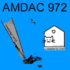La Maison du Chat - AMDAC972