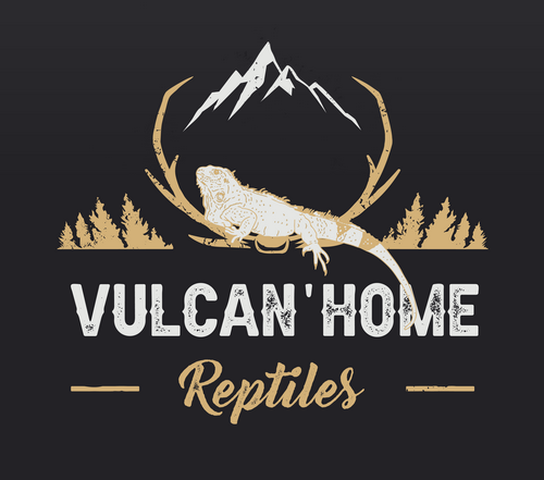 Vulcan'Home Reptiles