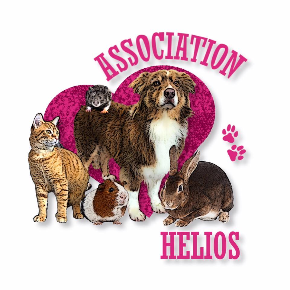 Association HELIOS