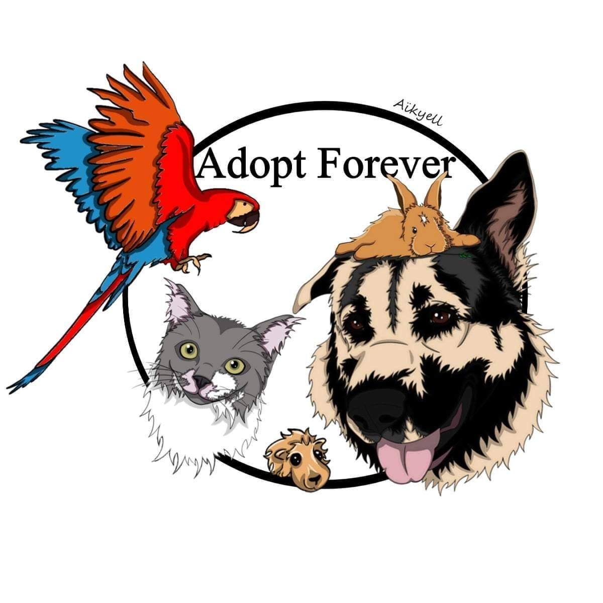 Adopt Forever