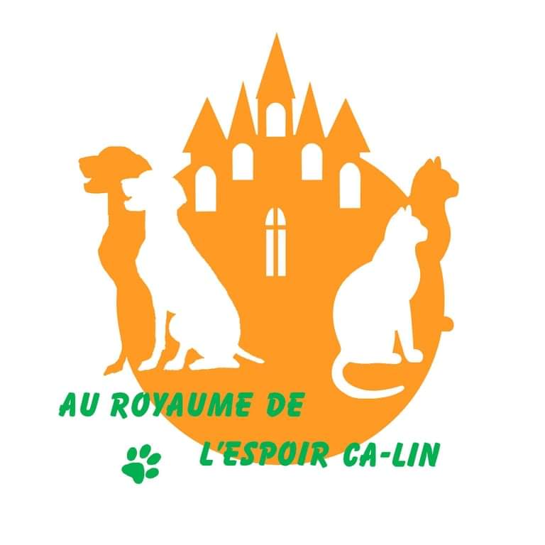 Recherche familles d'accueil pour petits chiens, secteur Dordogne