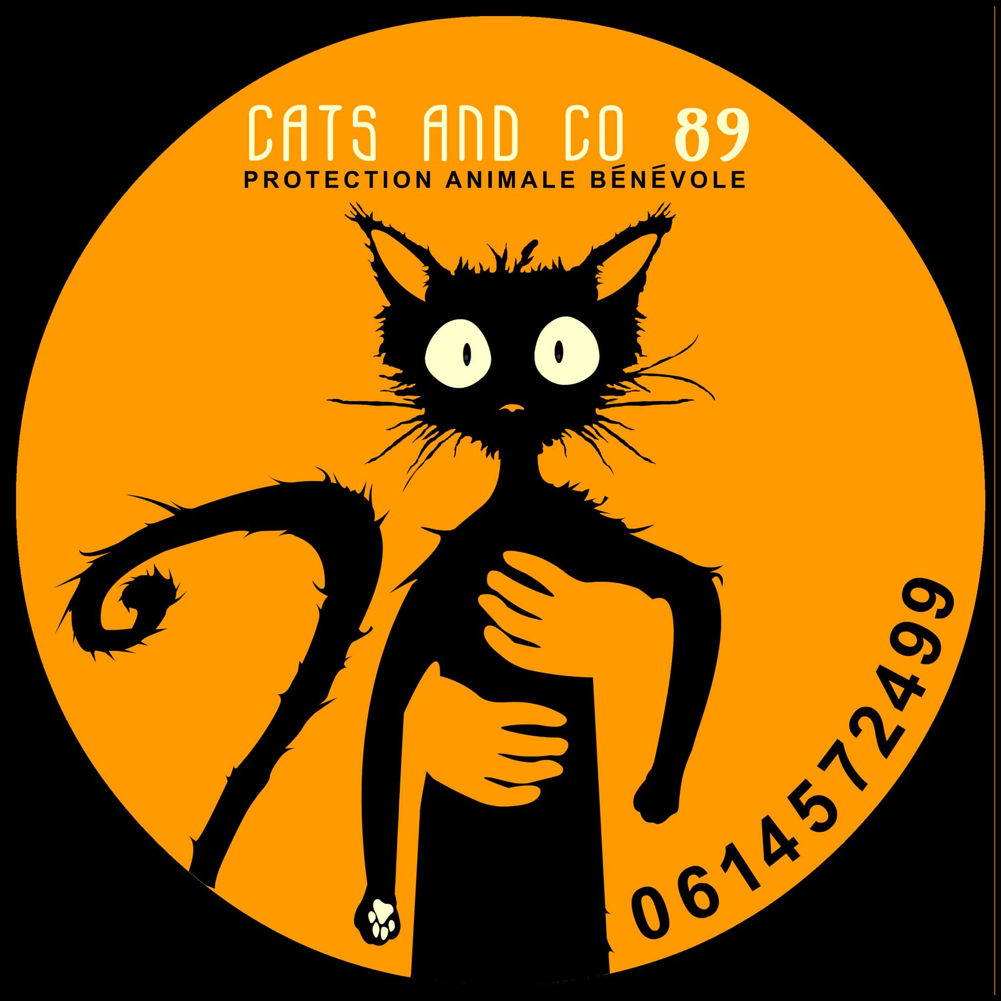Cats and co 89