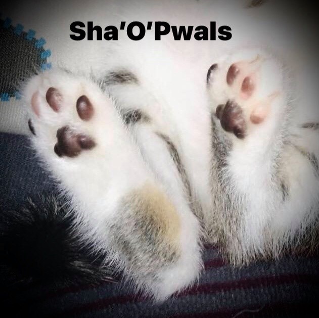 Sha'O'Pwals