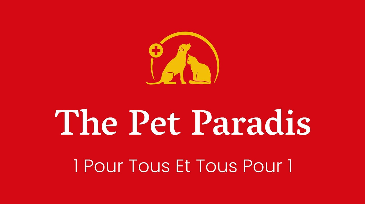 The Pet Paradis