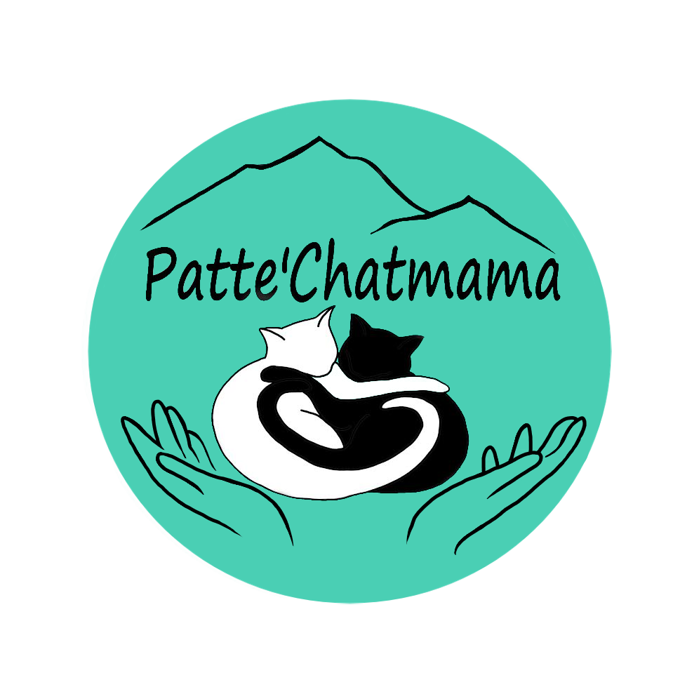 Association Patte'Chatmama