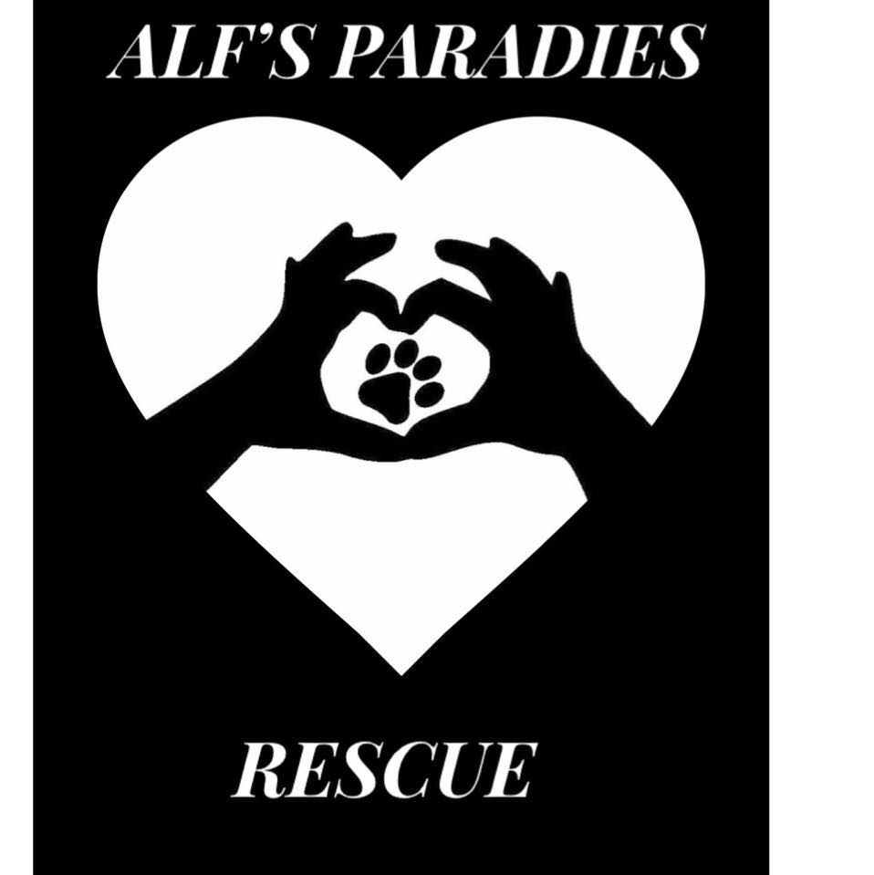 Alf’s Paradies Rescue
