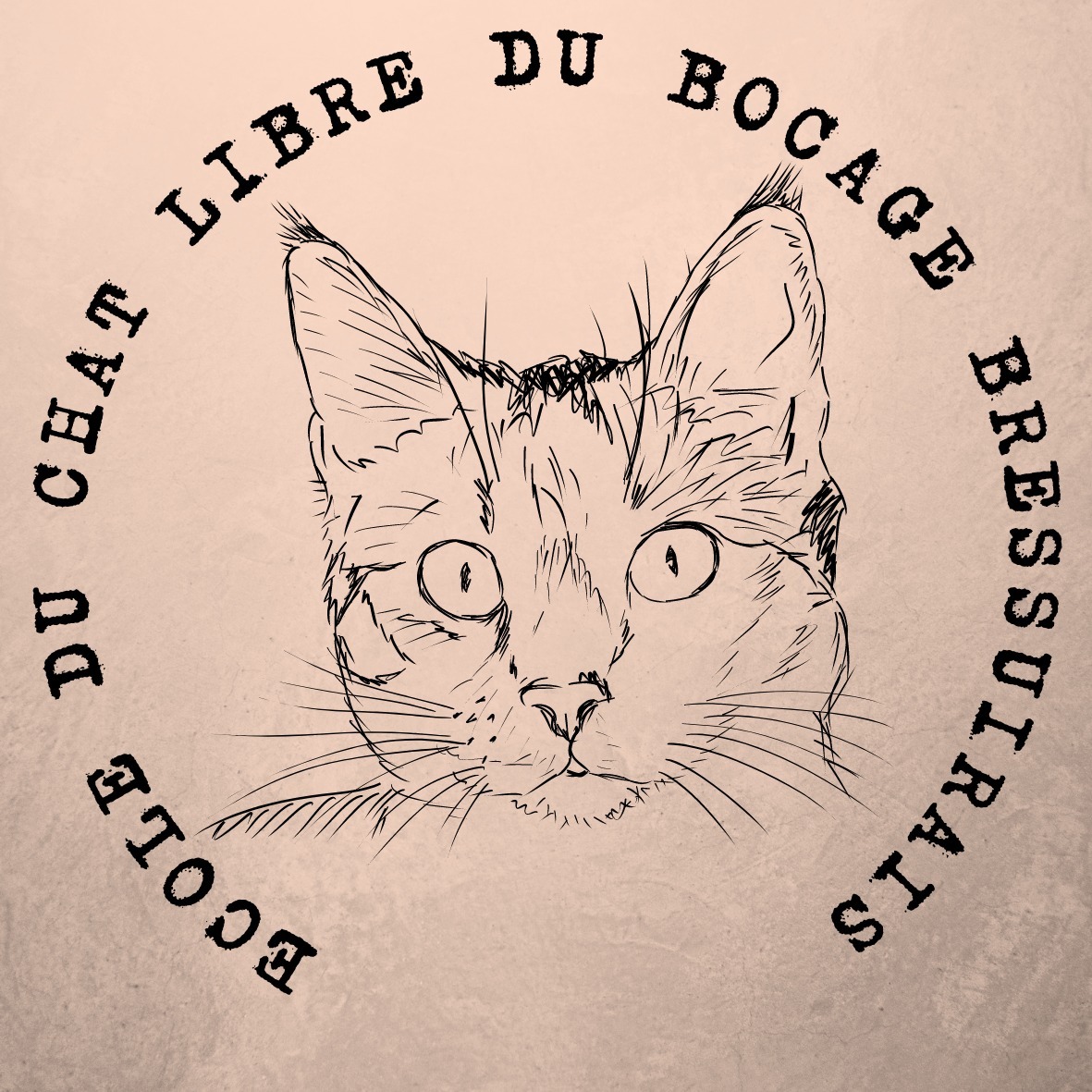 L'Ecole du chat libre du Bocage Bressuirais