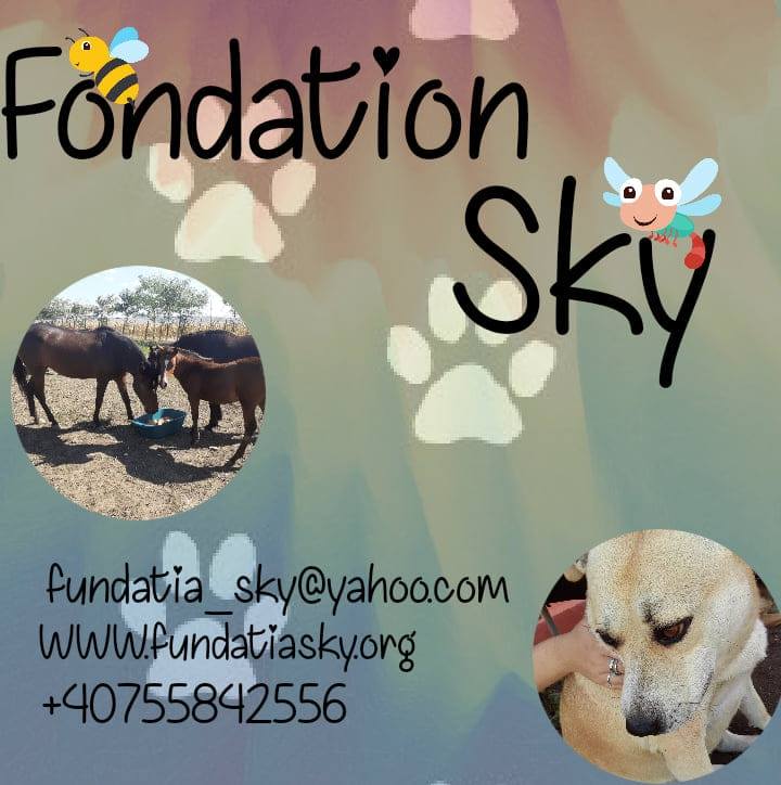 Fondation Sky