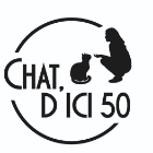 Chat d'ici 50