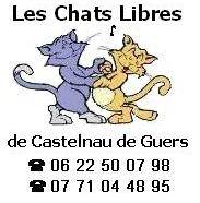Chats libres de Castelnau de Guers
