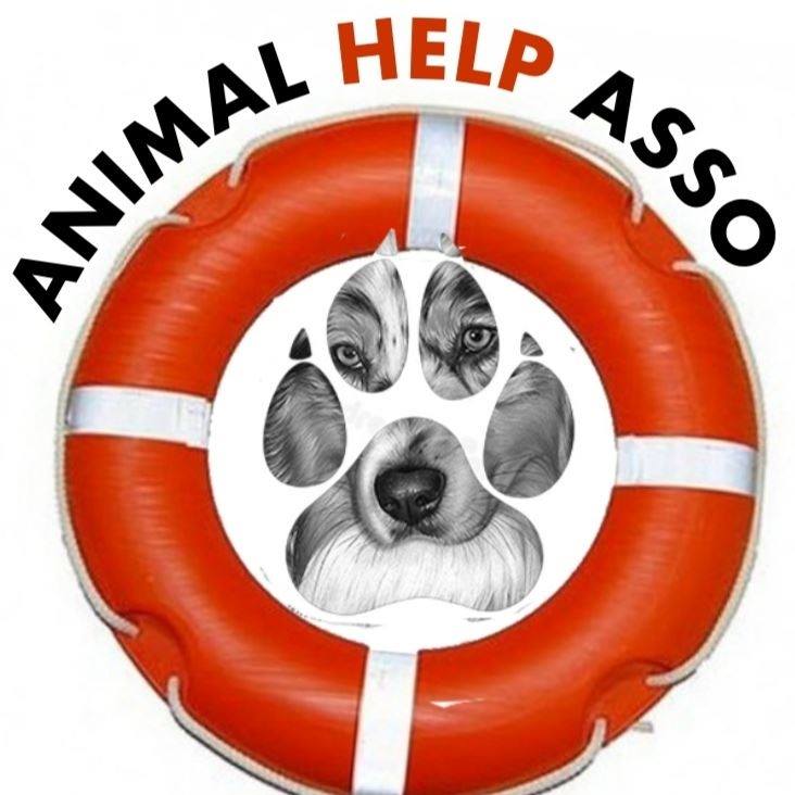 Animal Help Asso