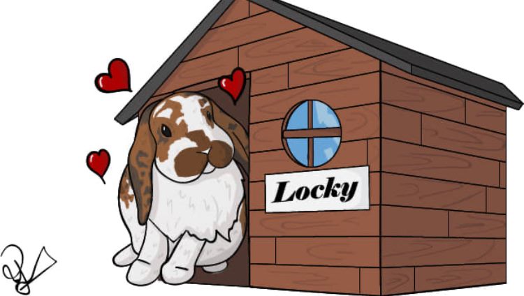 La maison de Locky