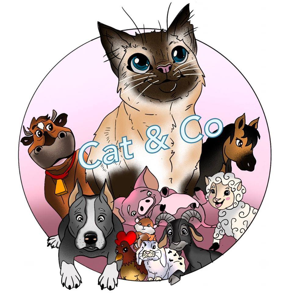 Cat and Co
