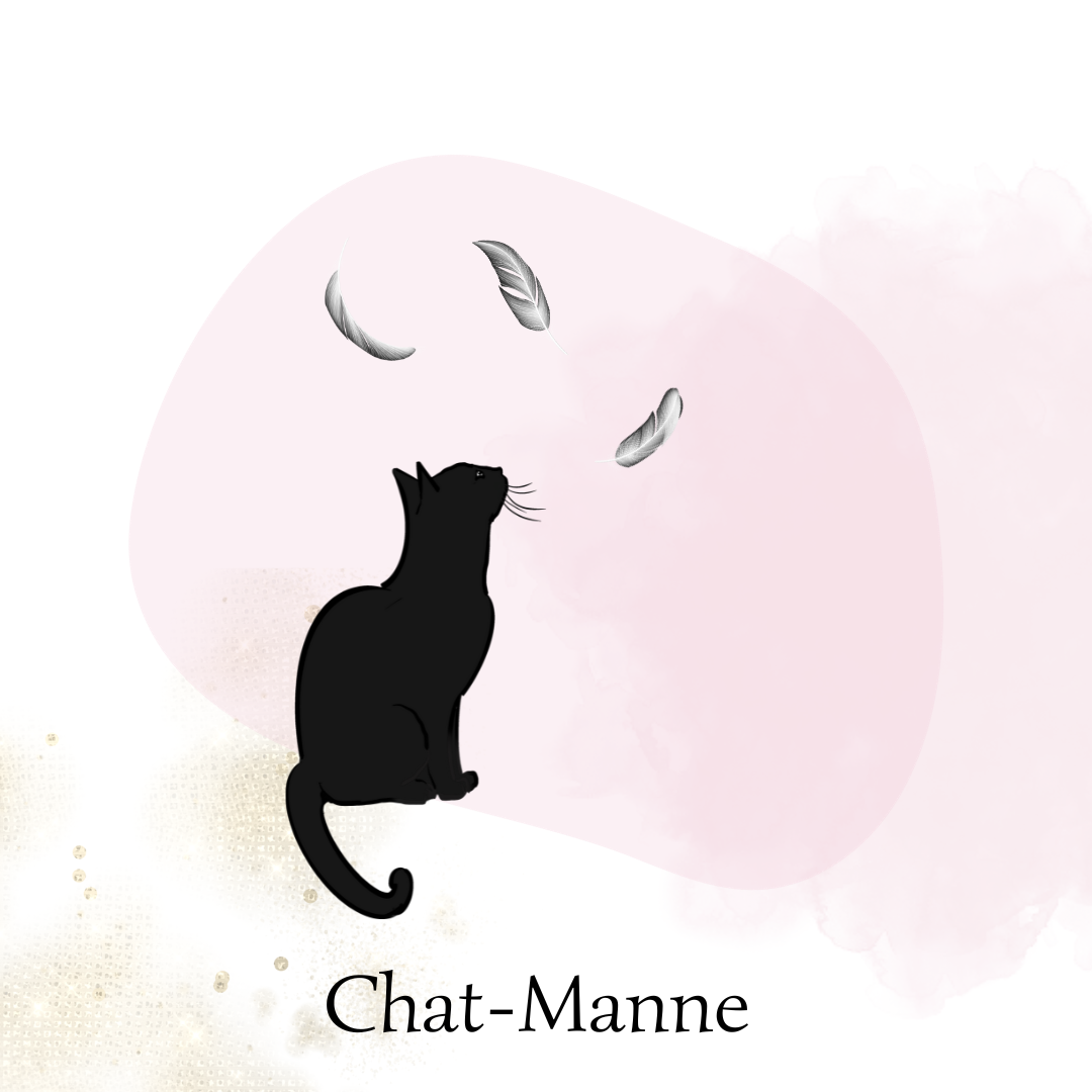 Chat-Manne