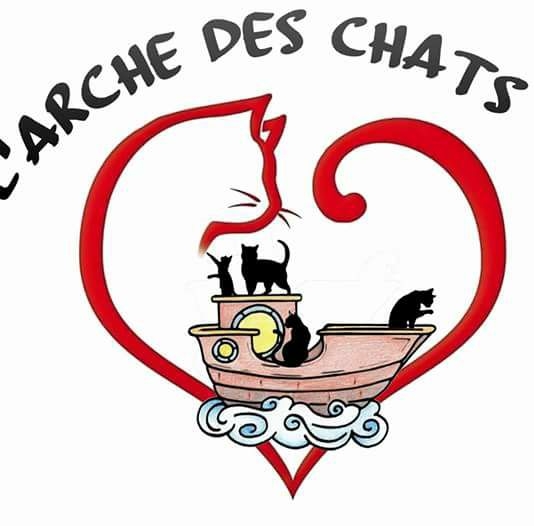 Chat 44