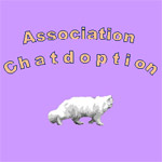 Chatdoption